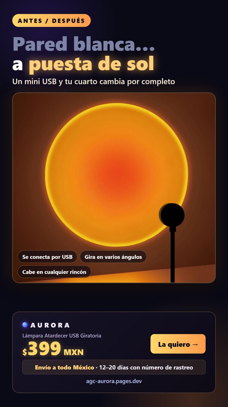 c13_variante_B.png