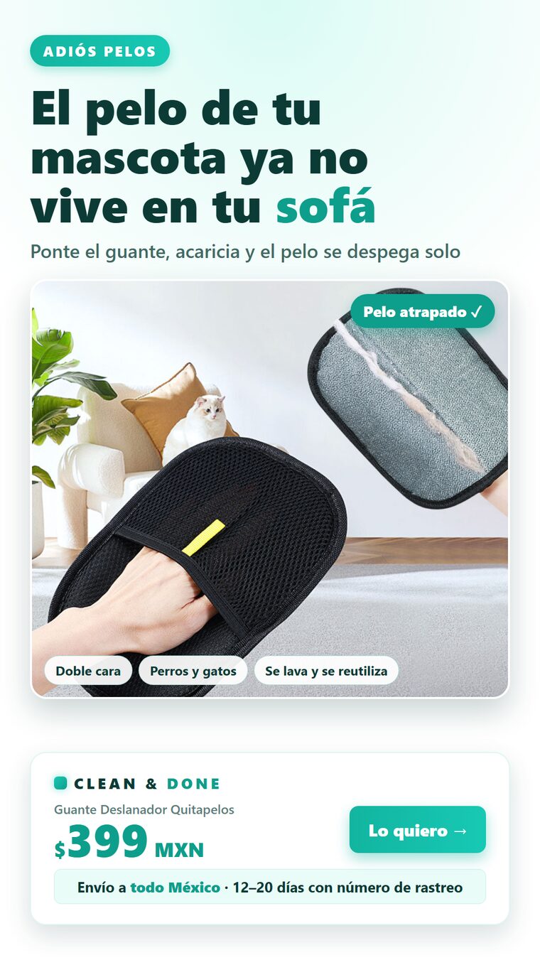 variante_A.png