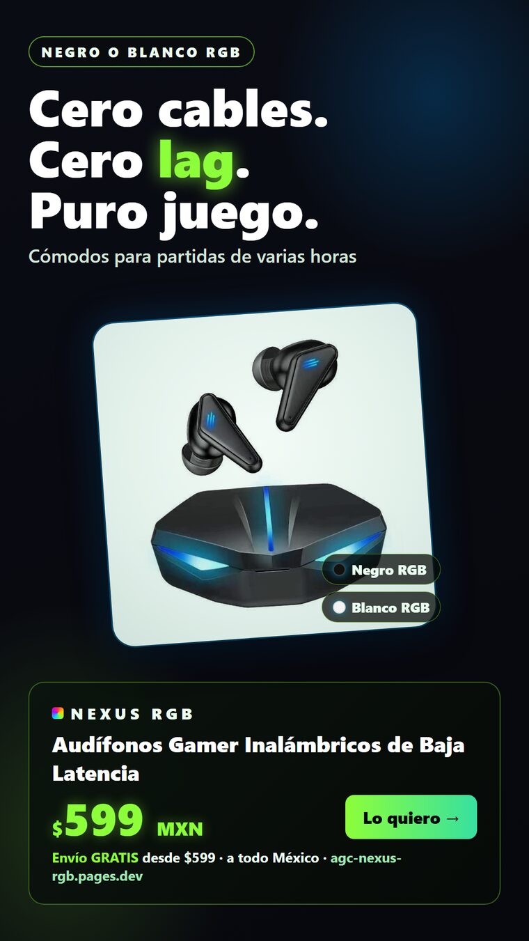 c5_variante_B.png