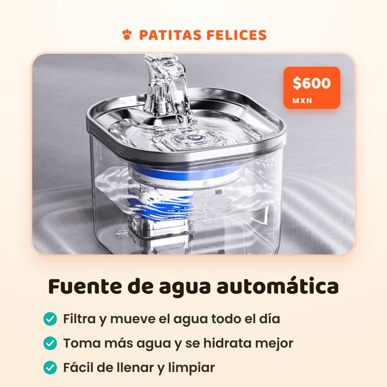 carrusel_v1_2.png