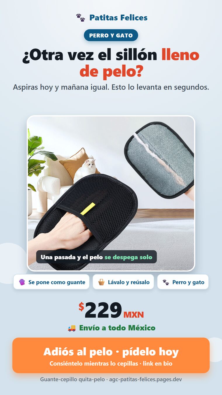 anuncio_patitas_varianteB.png