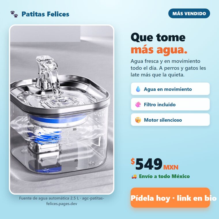 fuente_feed_1080.png