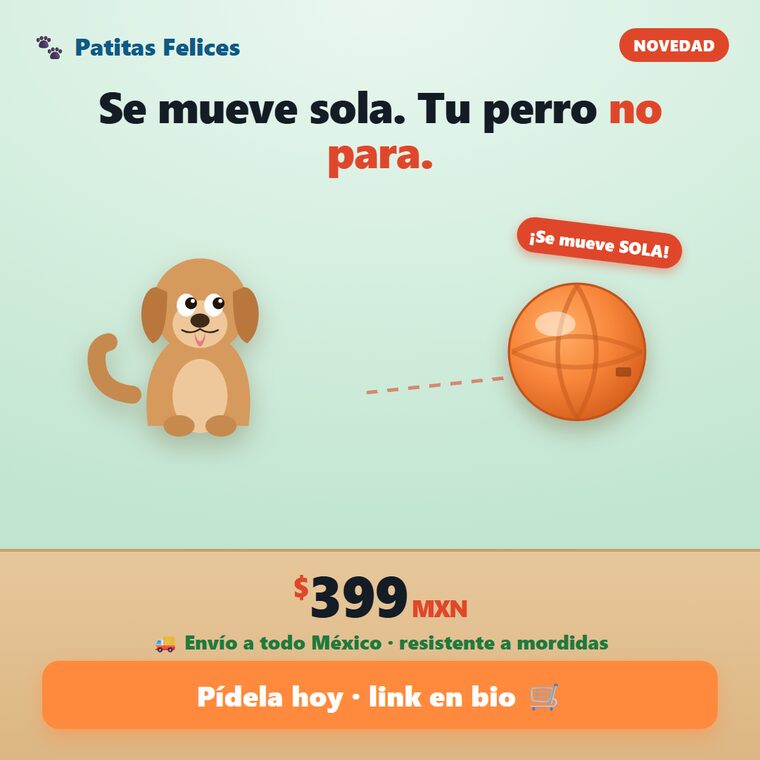pelota_feed_1080.png