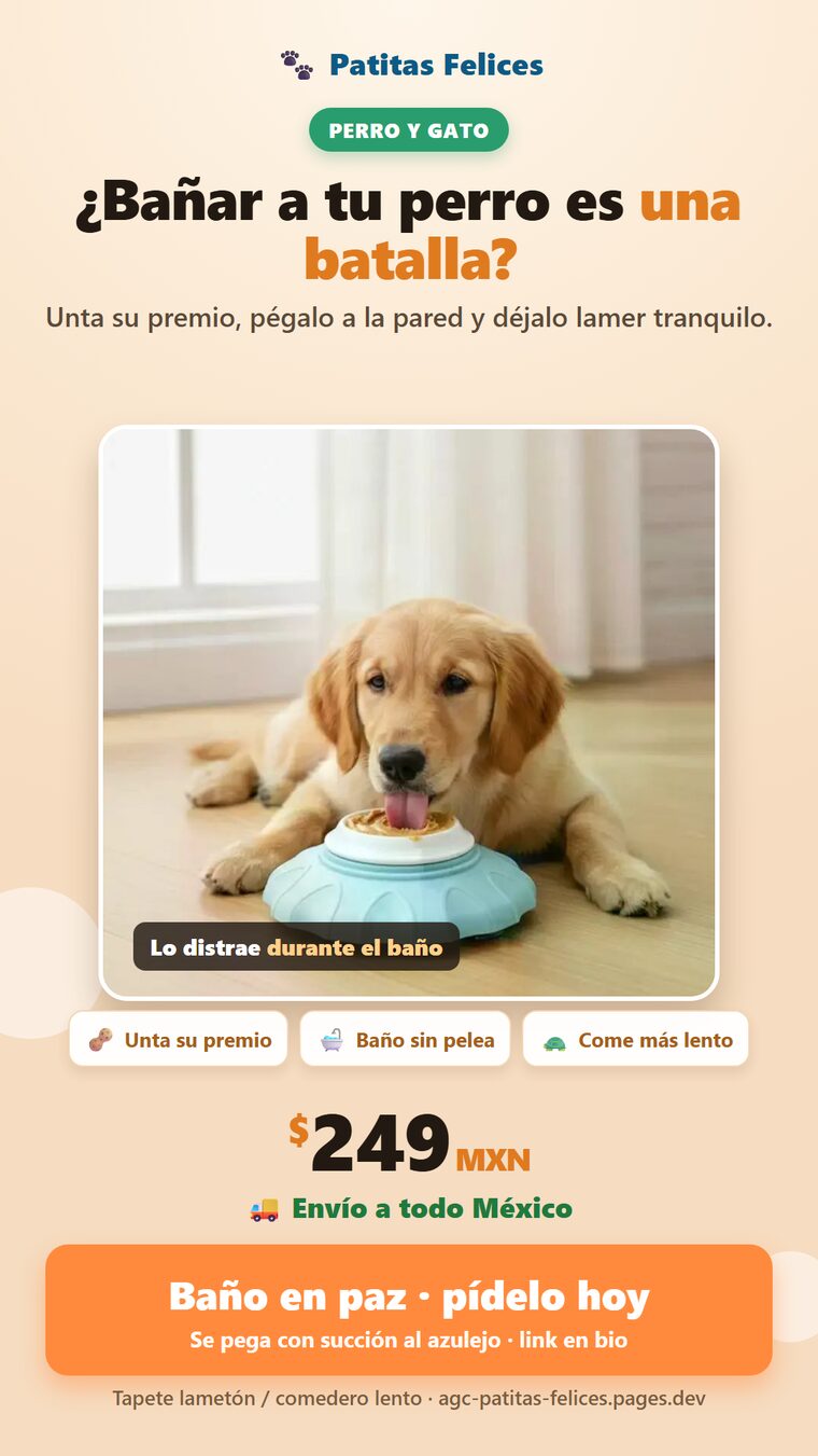tapete_anuncio.png