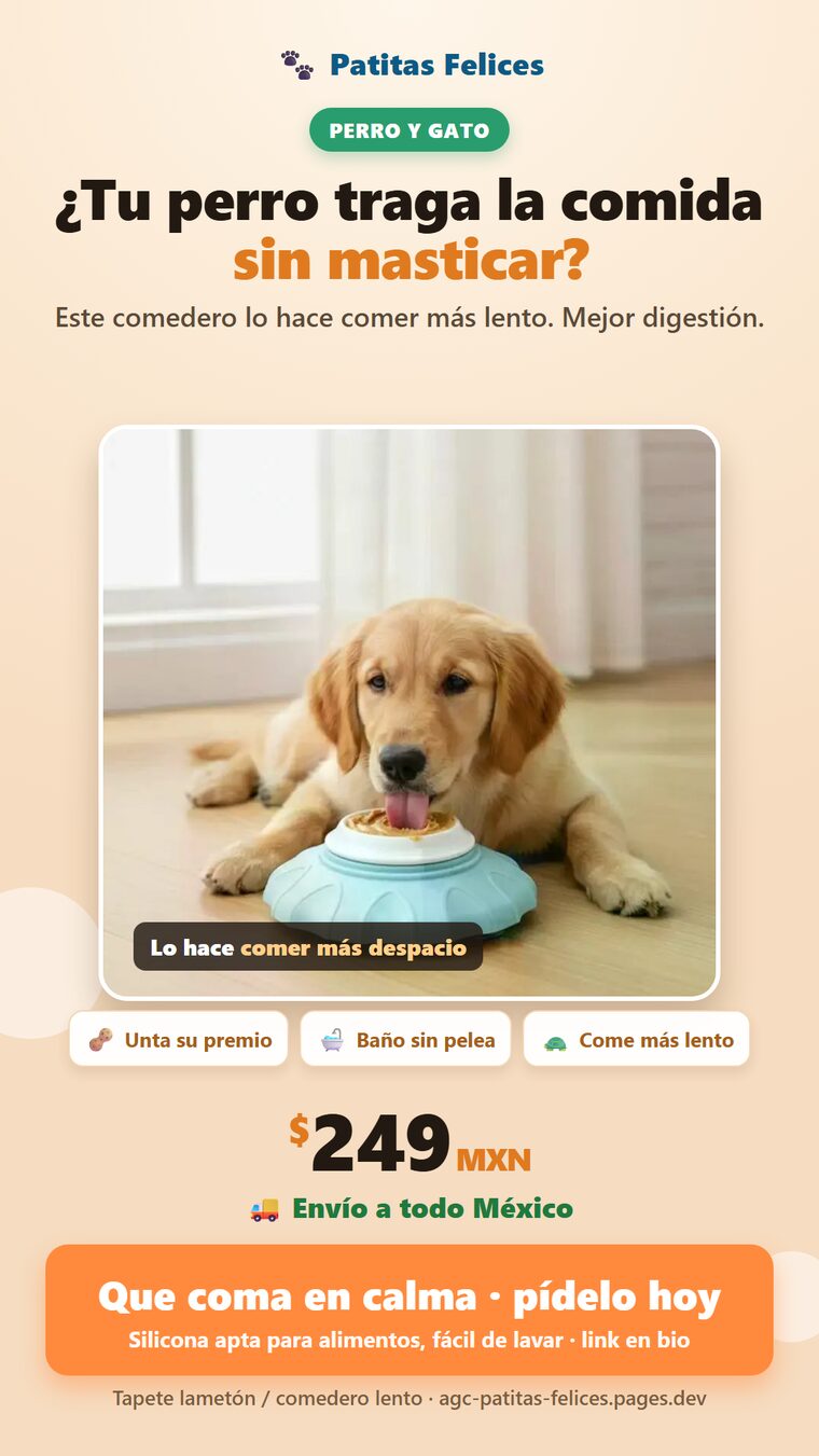 tapete_anuncio_varianteB.png
