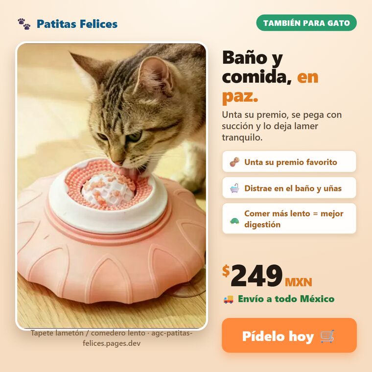 tapete_feed_1080.png