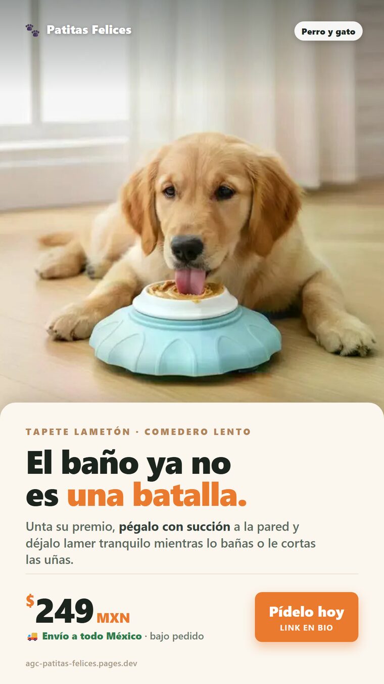 v2_tapete_anuncio.png