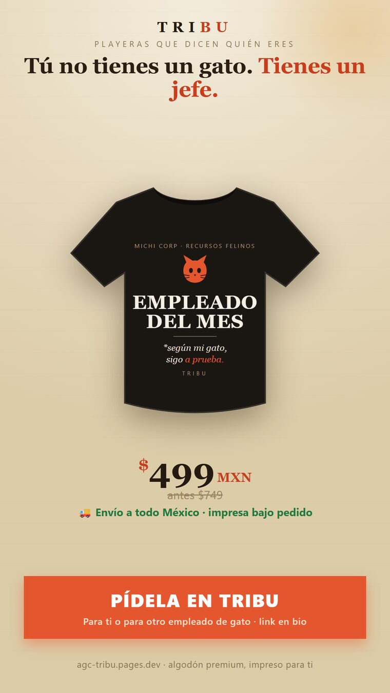 gato_anuncio.png