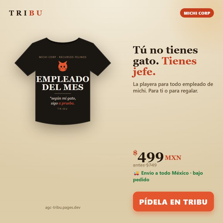 gato_feed_1080.png