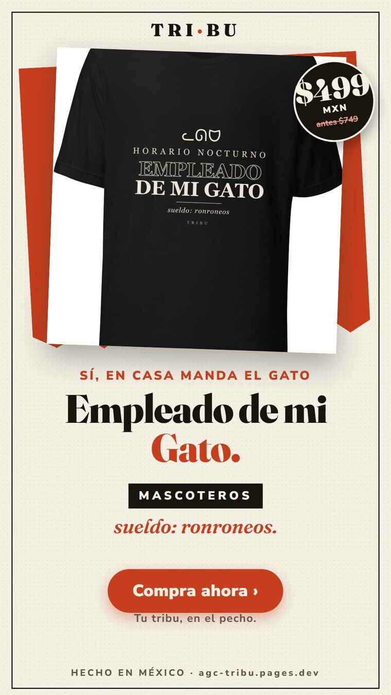 v5_portada.jpg