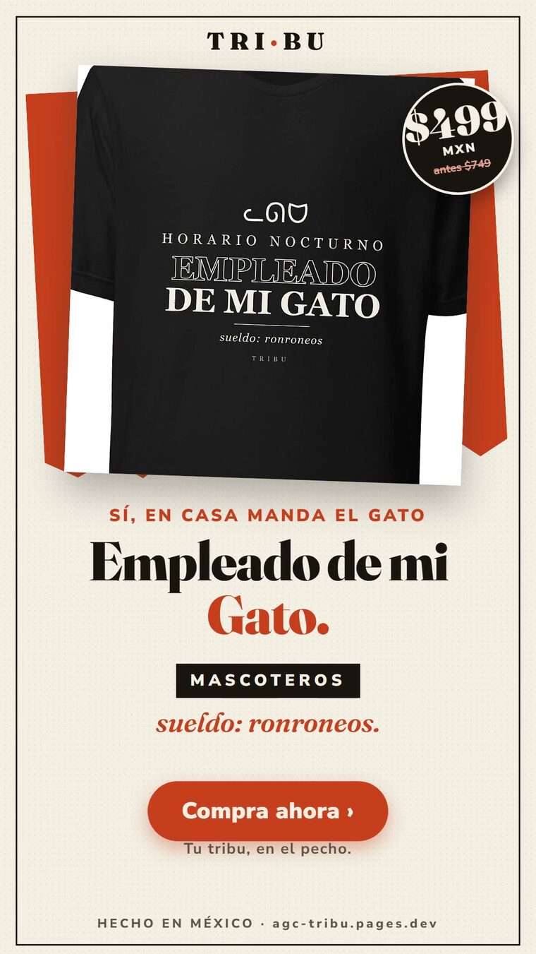 v6_portada.jpg